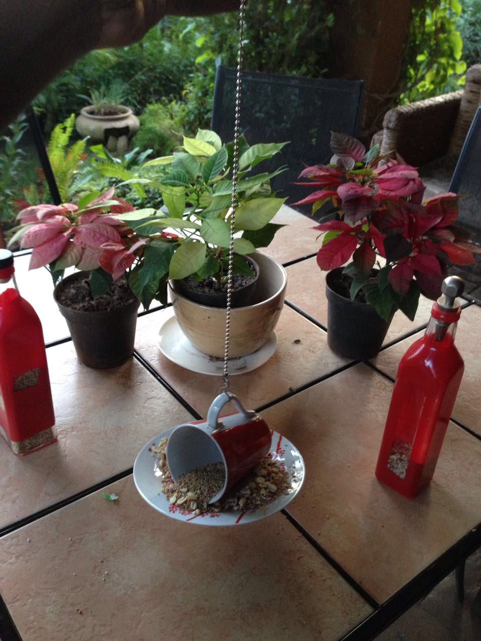 making a simple bird feeder while off sick